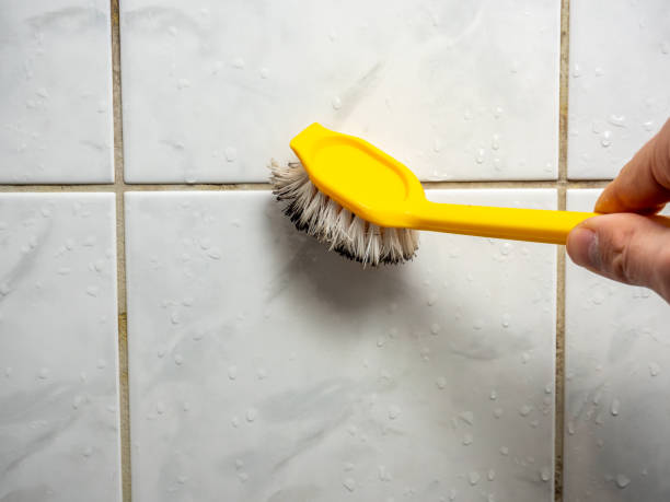 Best Attic Mold Removal  in Rockwell, NC