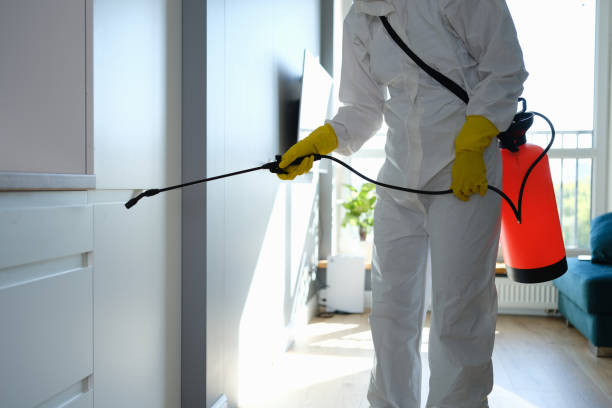 Best Commercial Mold Removal  in Rockwell, NC